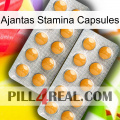 Ajantas Stamina Capsules levitra2